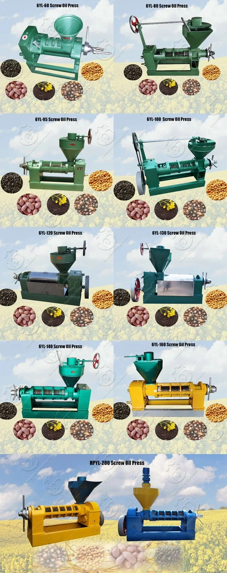 Sunflower Peanut Soybean Coconut Oilve Moringa Seed Mustard Rapeseed Avocado Vegetable Edible Cold Screw Oil Making Extraction Mill Expeller Press Machine