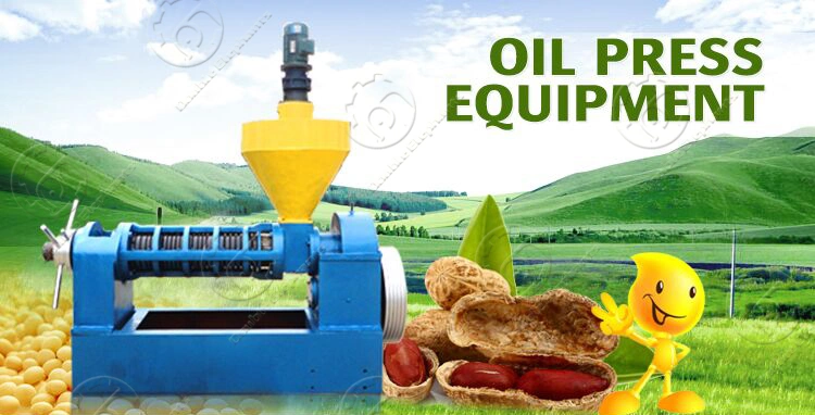 Sunflower Peanut Soybean Coconut Oilve Moringa Seed Mustard Rapeseed Avocado Vegetable Edible Cold Screw Oil Making Extraction Mill Expeller Press Machine