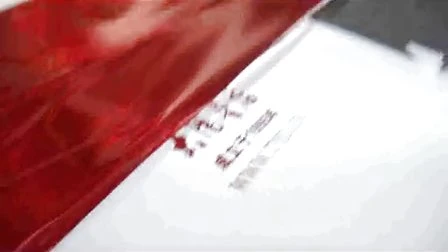 Hot Foil Stamping Die-Cutting Machine (TYMB750)
