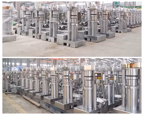 Cooking Oil Processing Equipment Hydraulic Screw Cold Hot Oil Press Machine